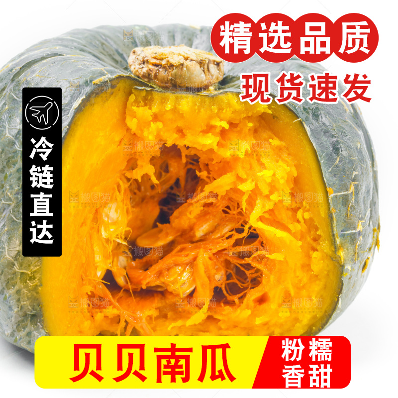 白底上摆放着板栗南瓜
