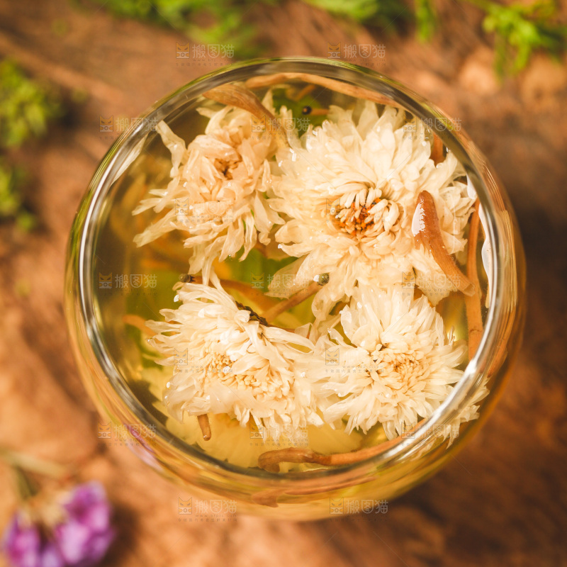 杯子里装着白菊花茶