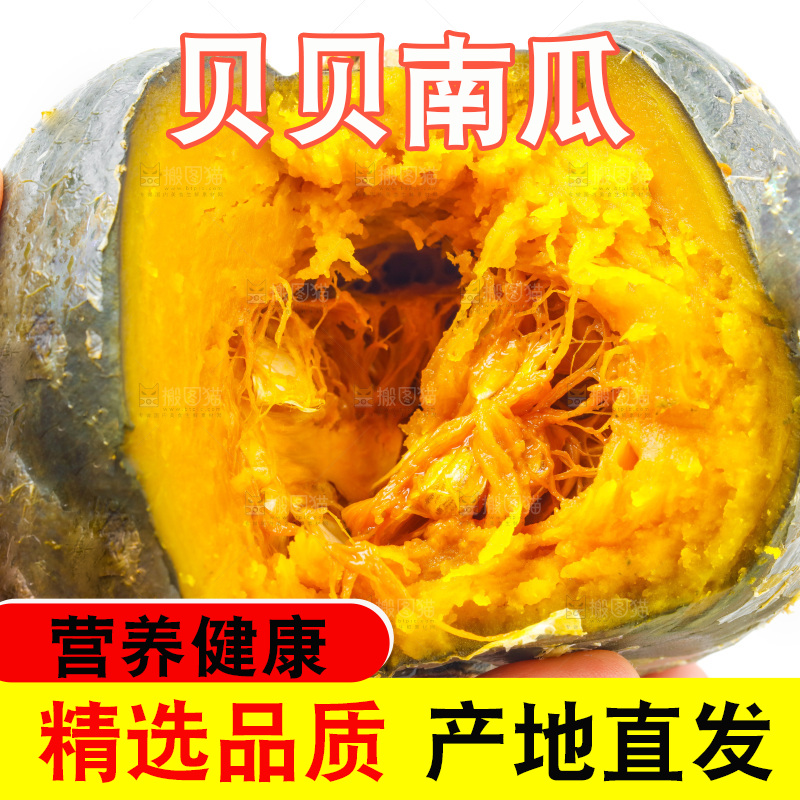 手里拿着贝贝南瓜