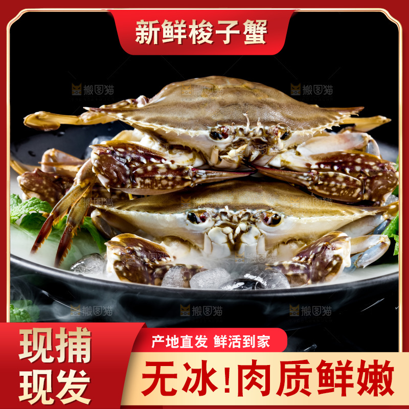 碟子装着舟山梭子蟹