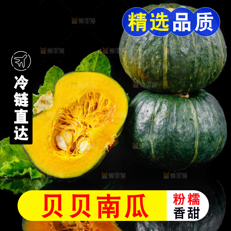 深底上摆放着贝贝小南瓜