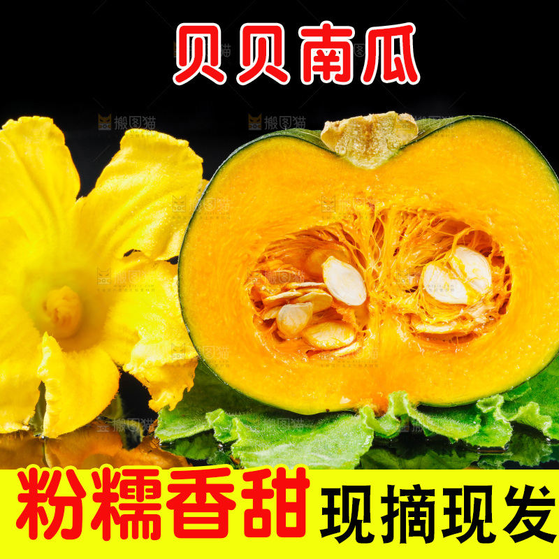 深底上摆放着贝贝小南瓜