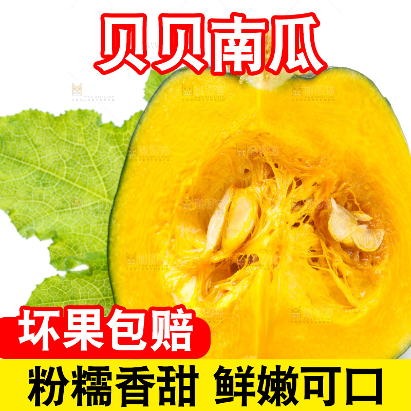 白底上摆放着绿贝贝南瓜