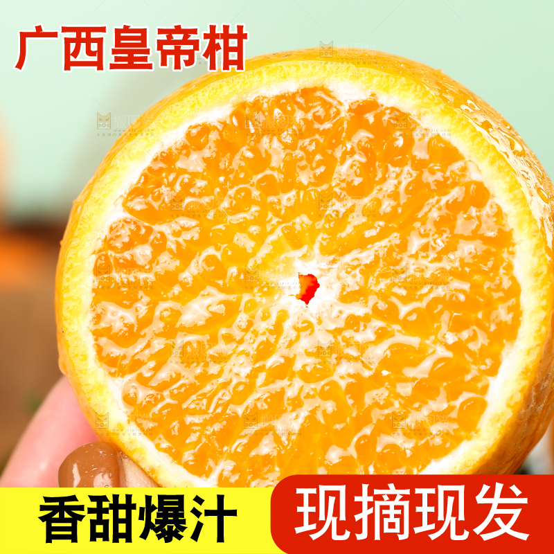 手里拿着皇帝贡柑