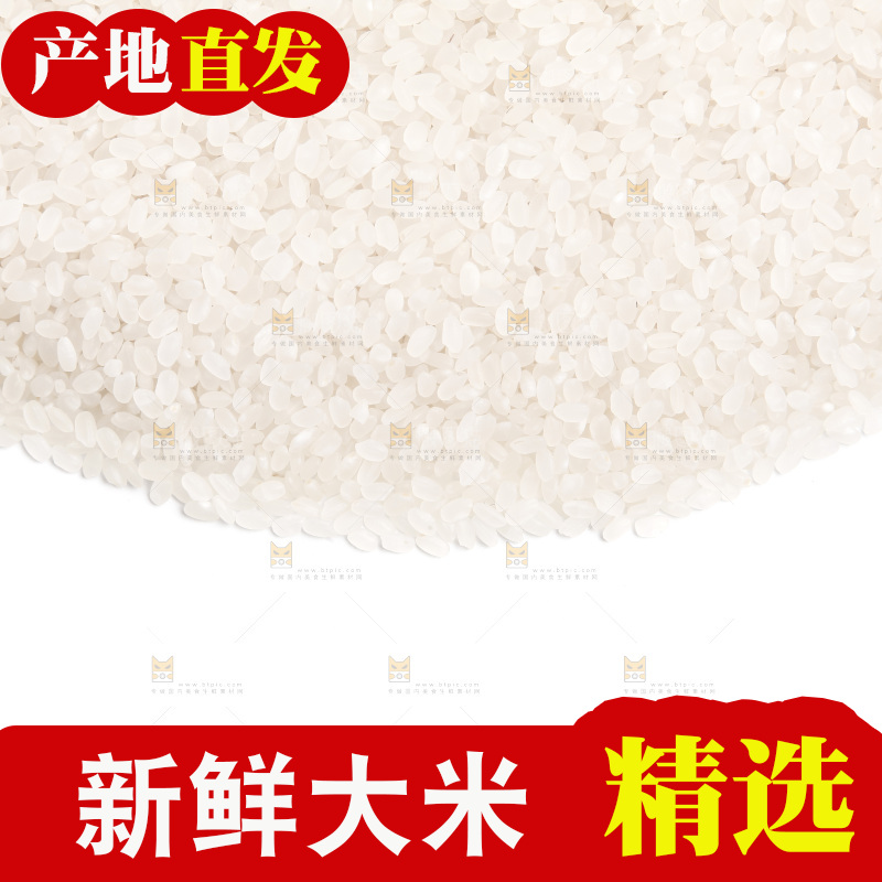 白底上的大米