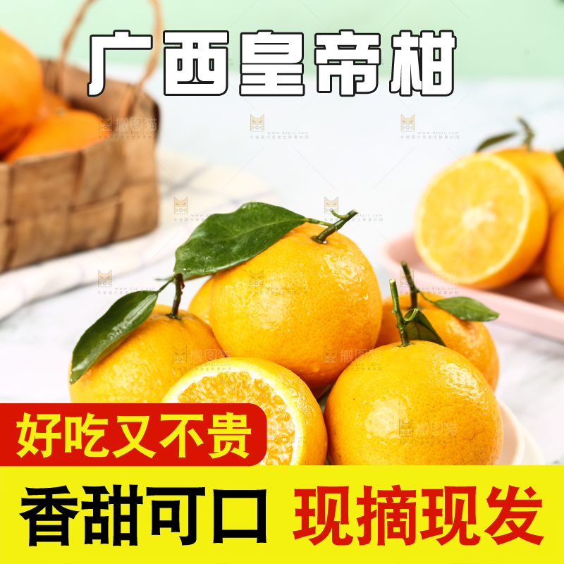 手里拿着皇帝贡柑