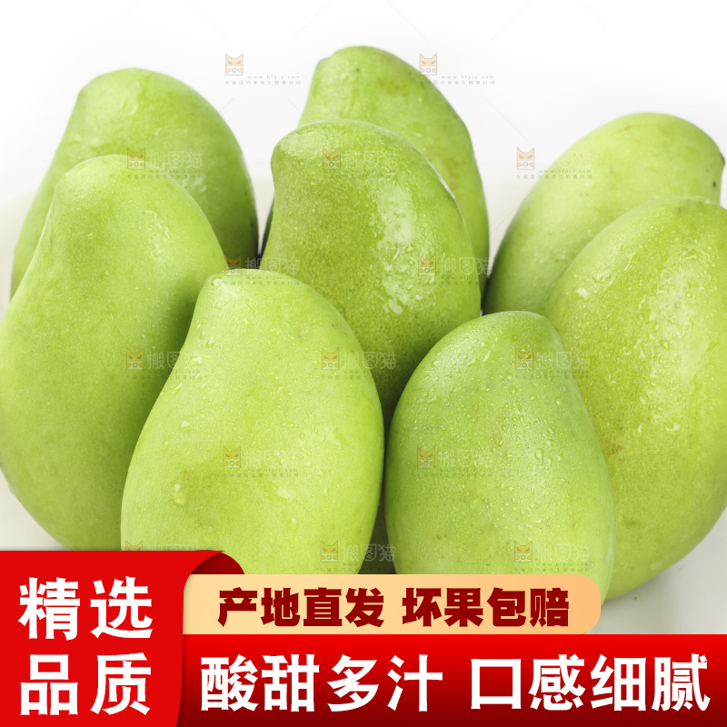 生芒果摆放在白底上