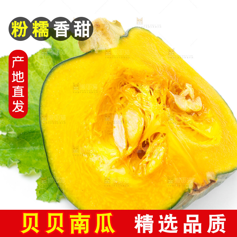 白底上摆放着绿贝贝南瓜