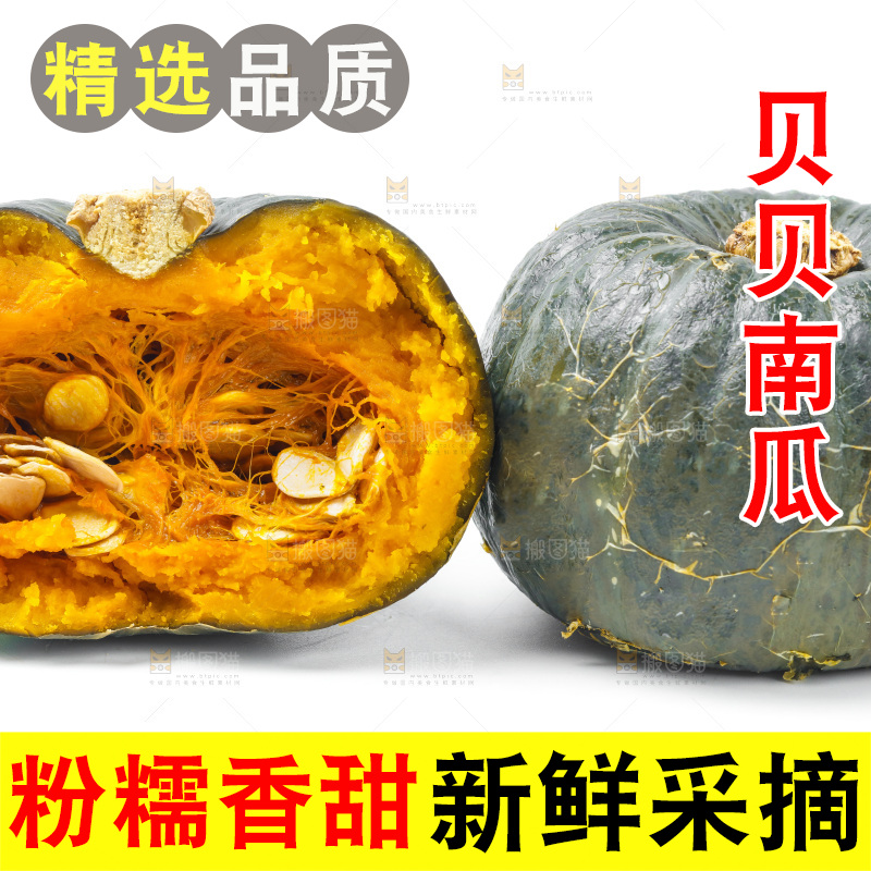 白底上放着贝贝小南瓜