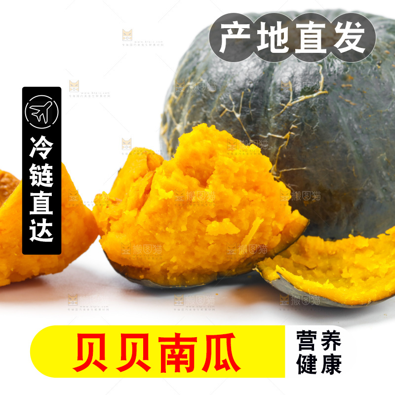 白底上摆放着板栗南瓜