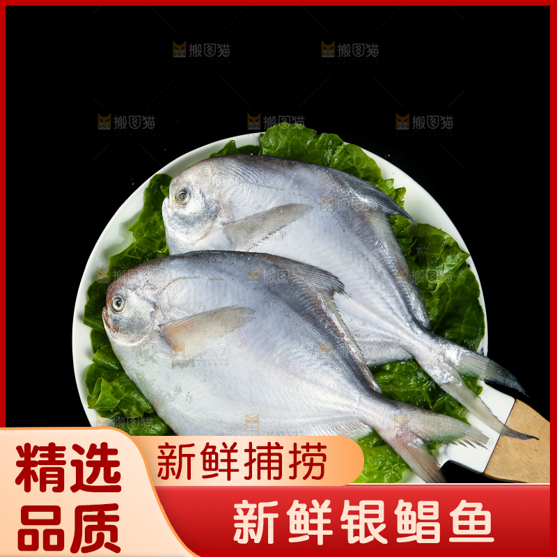 一盘新鲜银鲳鱼
