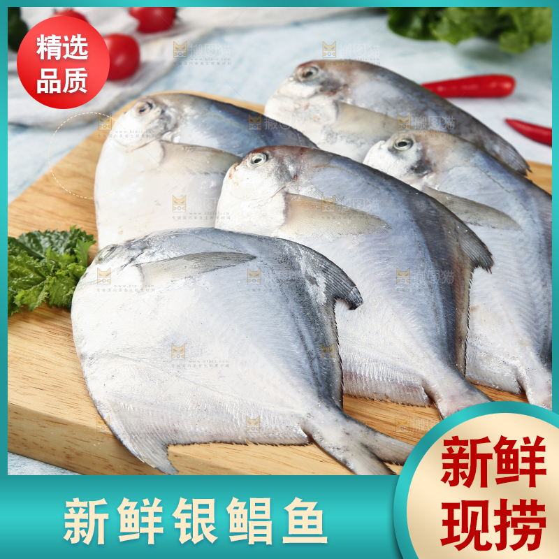 木板上摆放着银鲳鱼