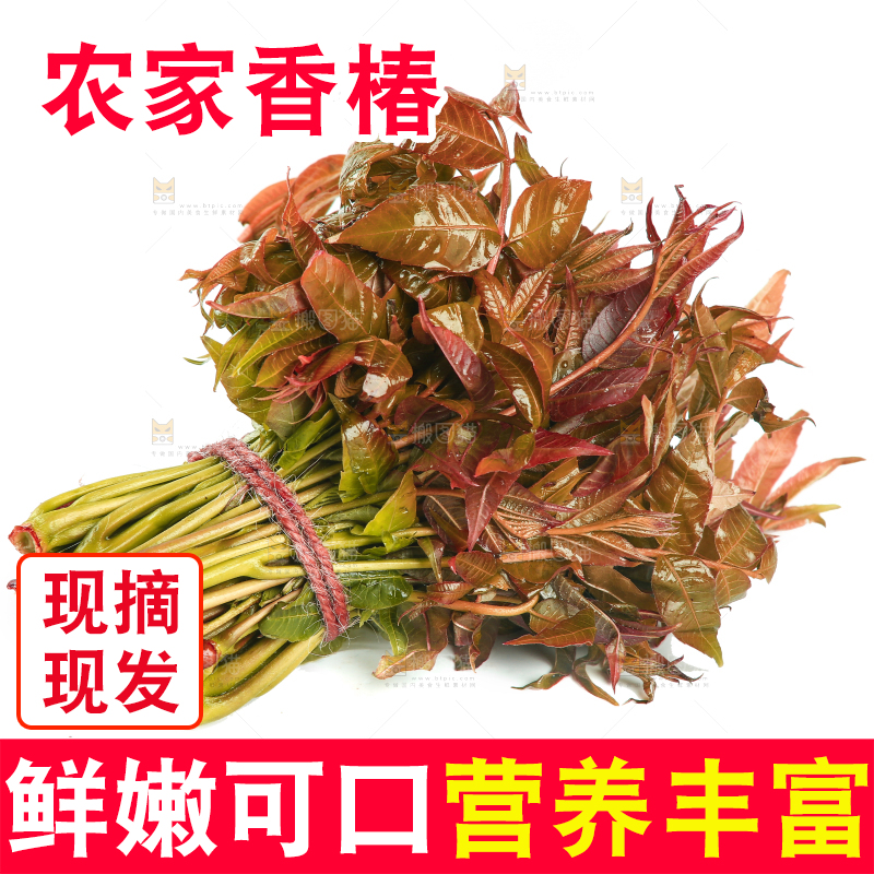 白底上放着一把香椿