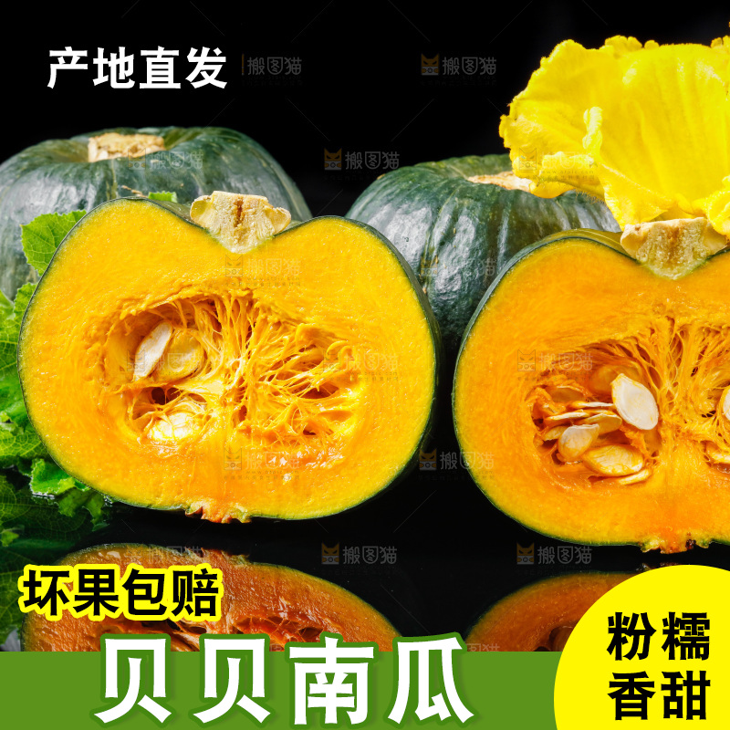深底上摆放着贝贝小南瓜