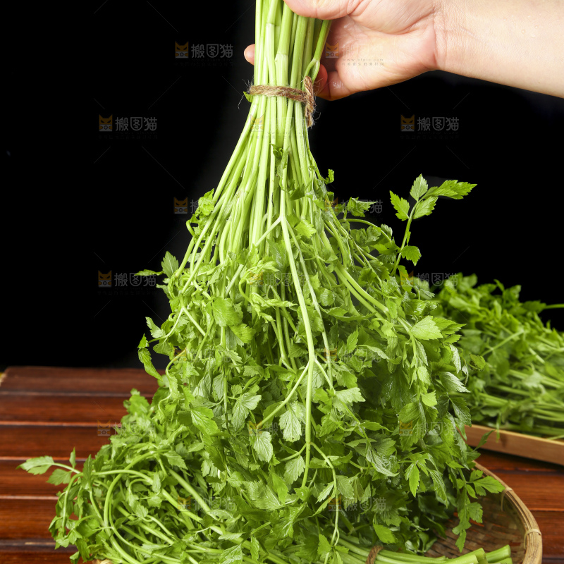 手里拿着野芹菜