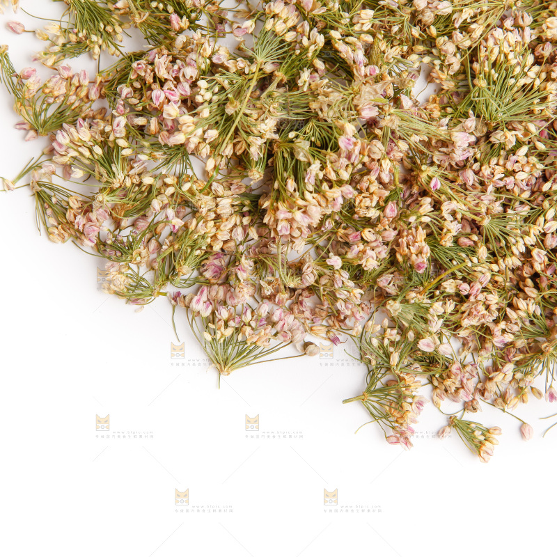 白底上摆放着干扎蒙花