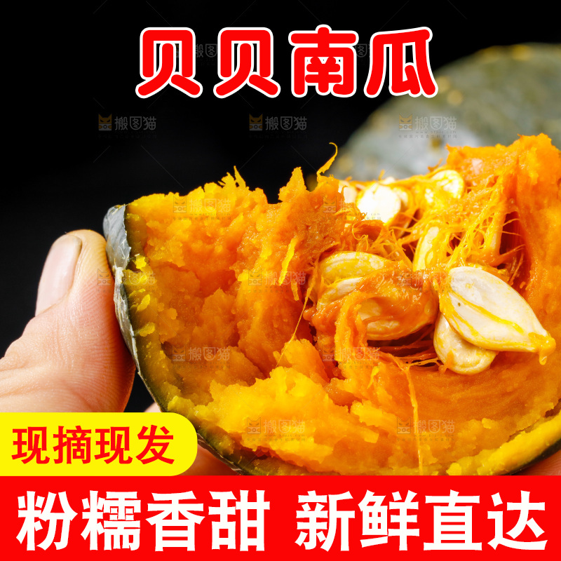 手里拿着板栗南瓜