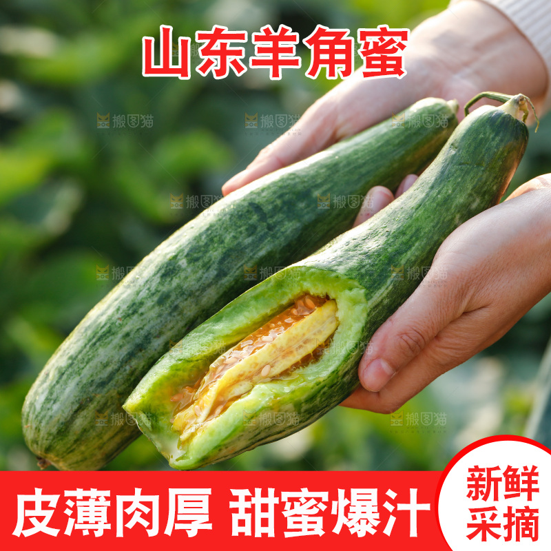 手里拿着羊角蜜甜瓜