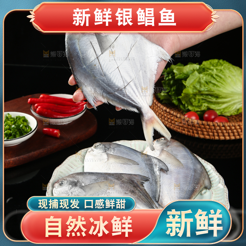 手里拿着银鲳鱼