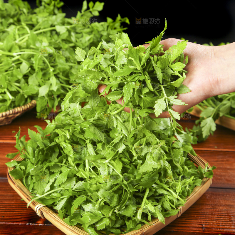 手里拿着水芹菜