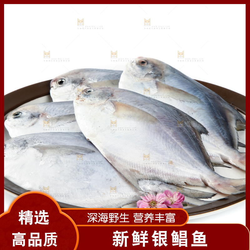 一盘银鲳鱼摆放在白底上