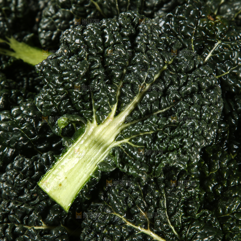 一堆新鲜泡泡菜
