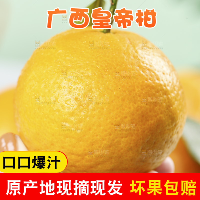 手里拿着皇帝贡柑