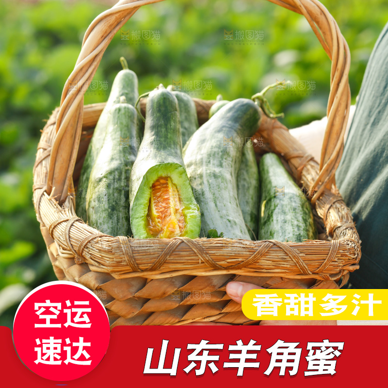 手里端着一篓甜瓜