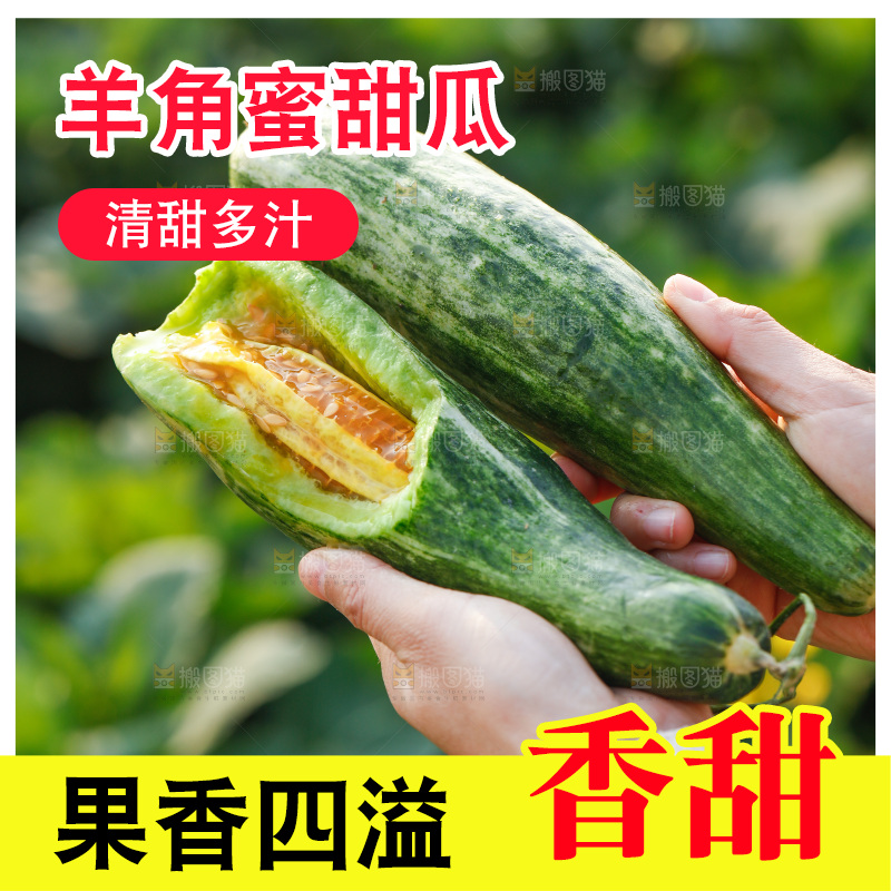 手里拿着羊角蜜甜瓜