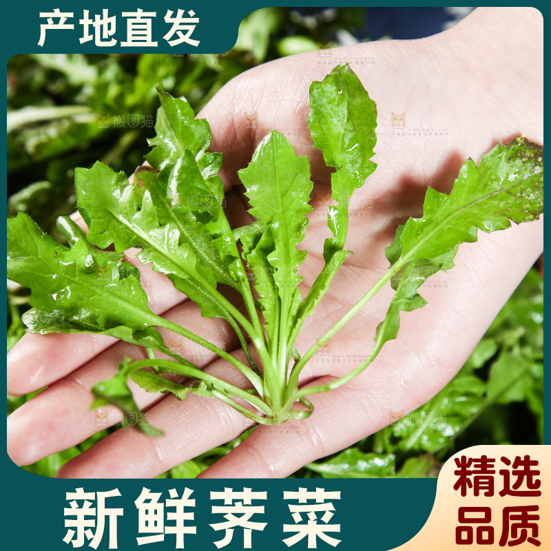 手里拿着地菜
