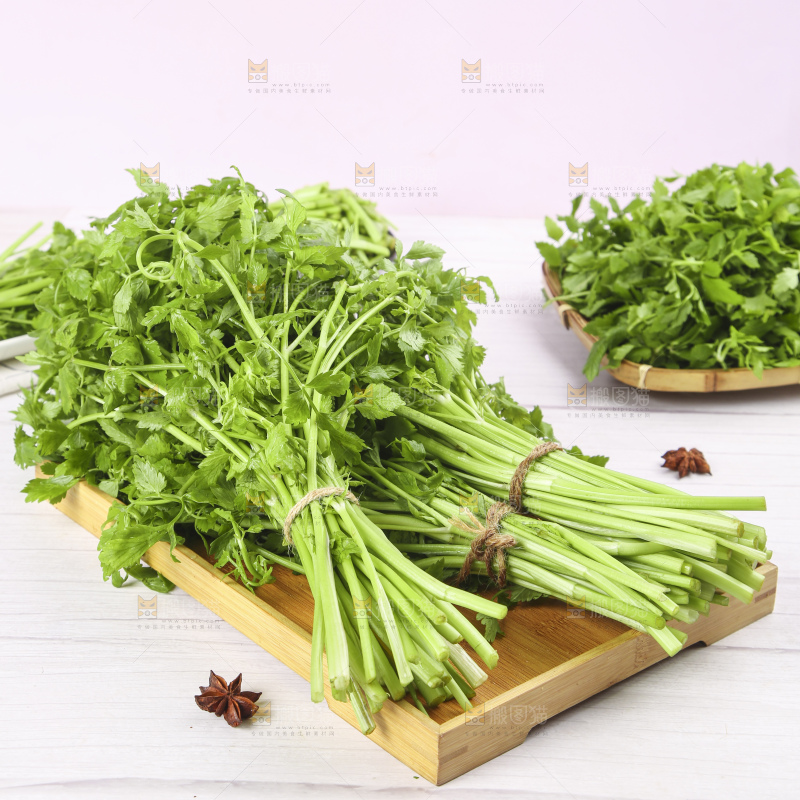 一盘湖南新鲜水芹菜
