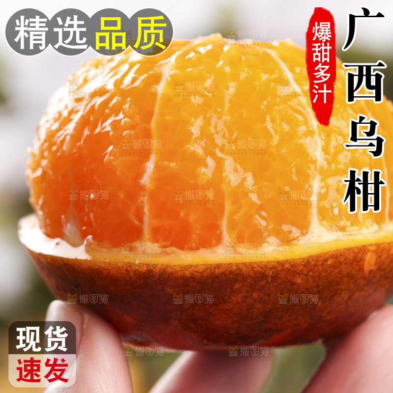 手里拿着乌柑橘