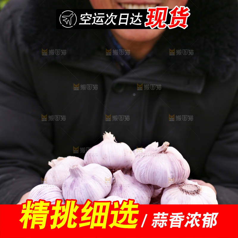手里捧着大蒜头