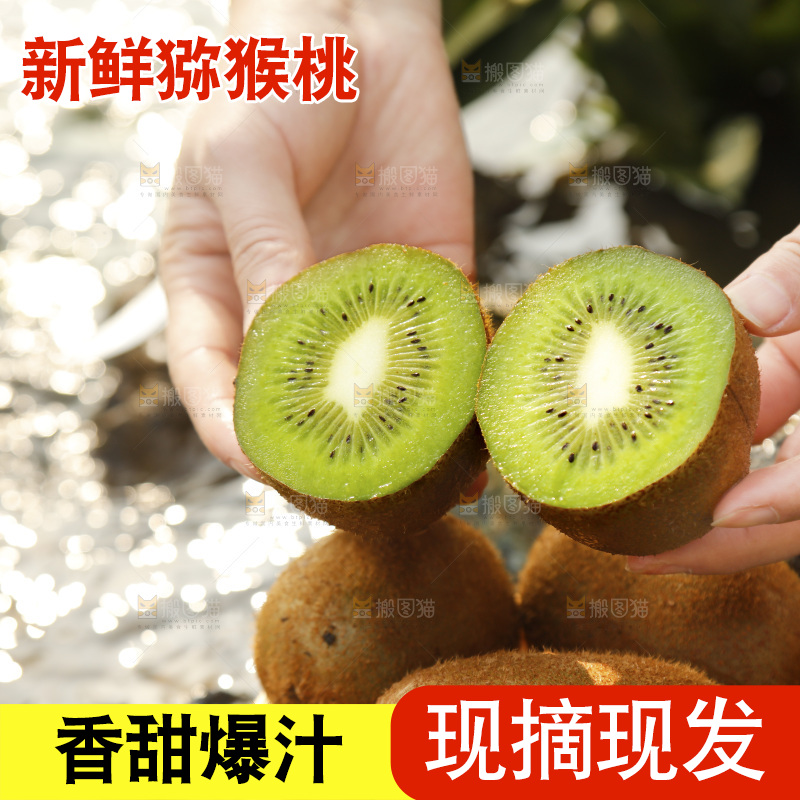 手里拿着切面的徐香猕猴桃