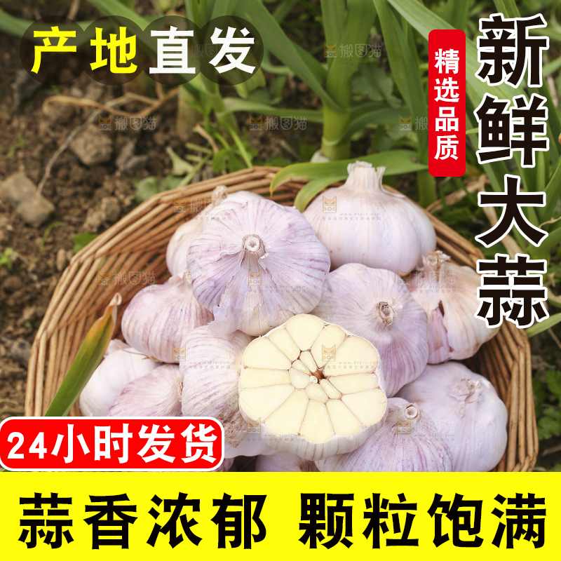 一篮多瓣蒜