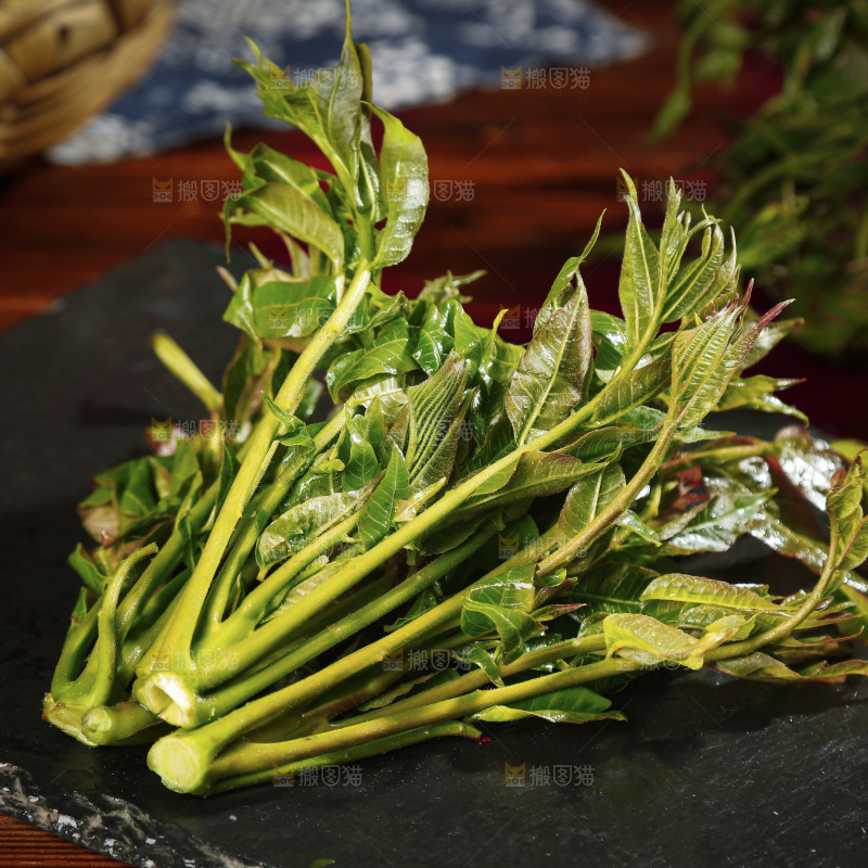 黑石底上摆放着香椿芽