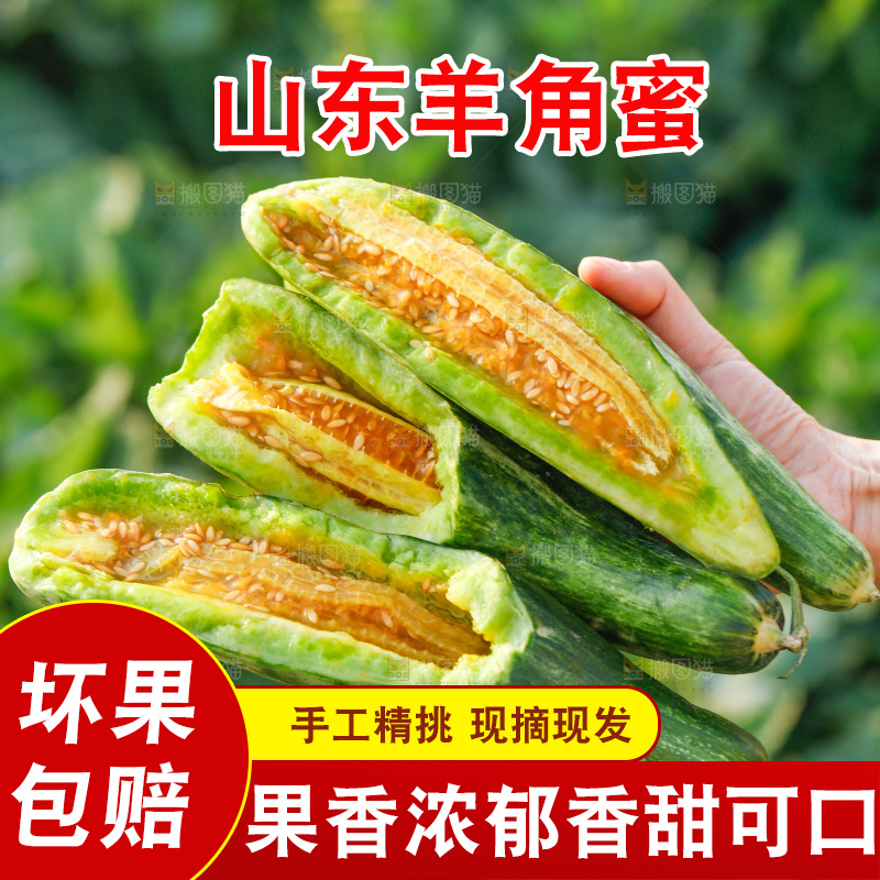 手里拿着羊角蜜甜瓜