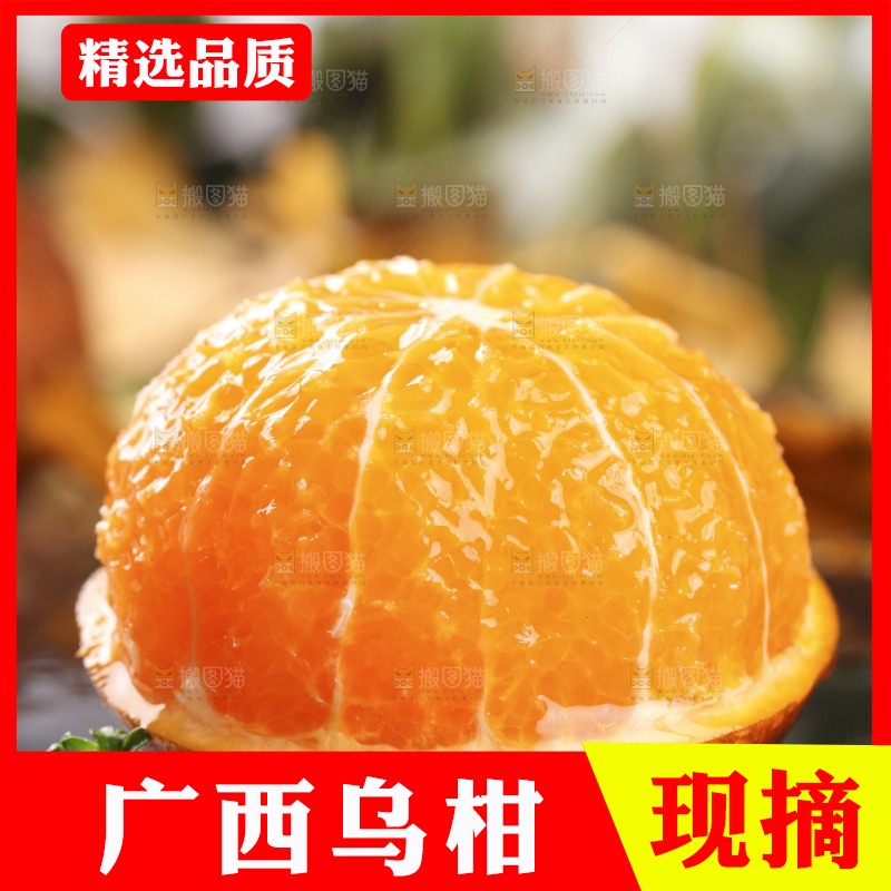 黑底上放着乌柑