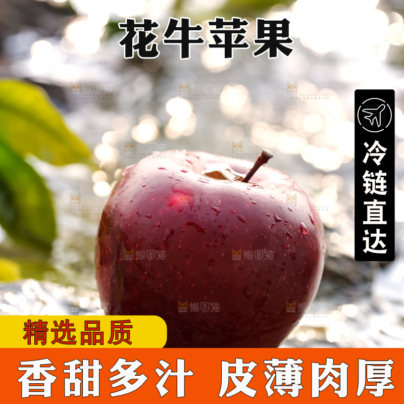 石头上放着一个花牛苹果
