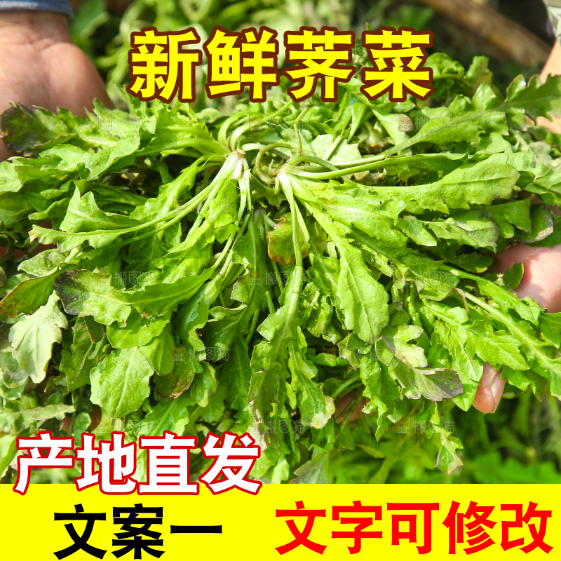 手里拿着地菜
