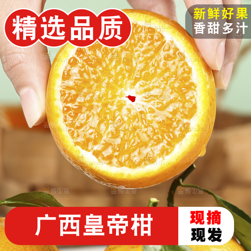 手里拿着皇帝贡柑
