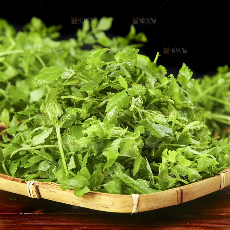 篮子里装着水芹