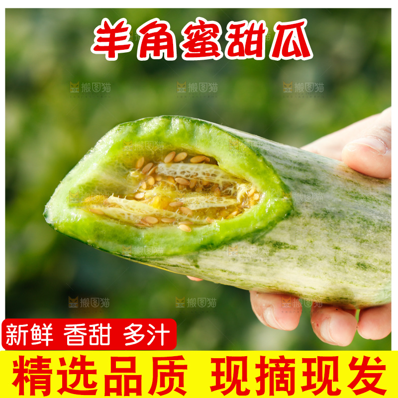 手里拿着羊角蜜甜瓜