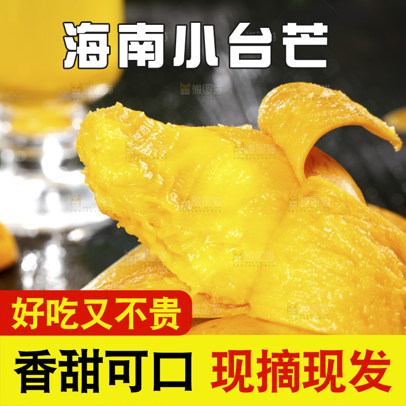 一堆海南小台芒