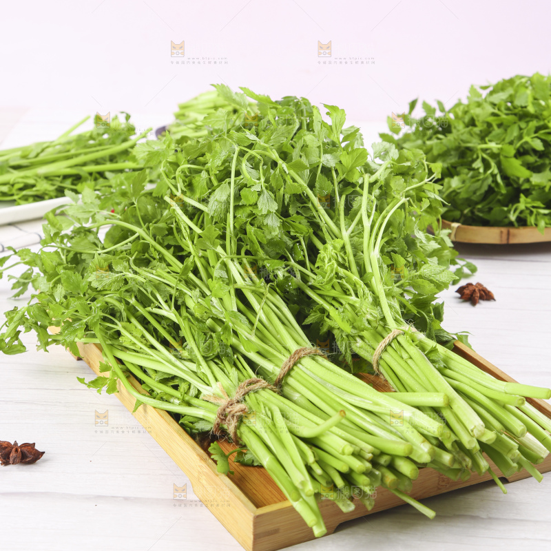 一盘湖南新鲜水芹菜