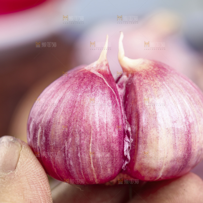 手里拿着紫皮蒜