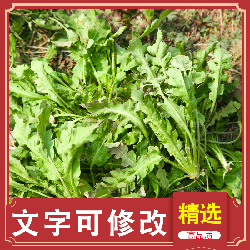 田地里的荠菜