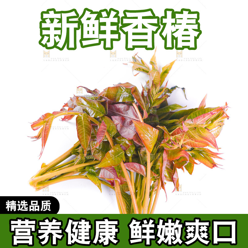 白底上放着野生香椿