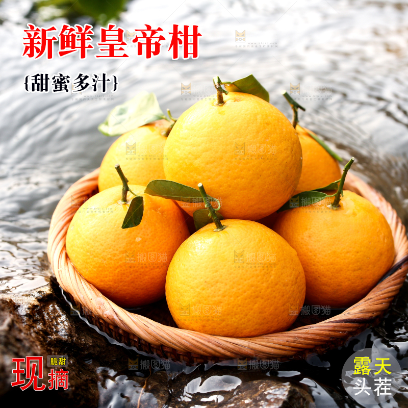 一篮皇帝贡柑