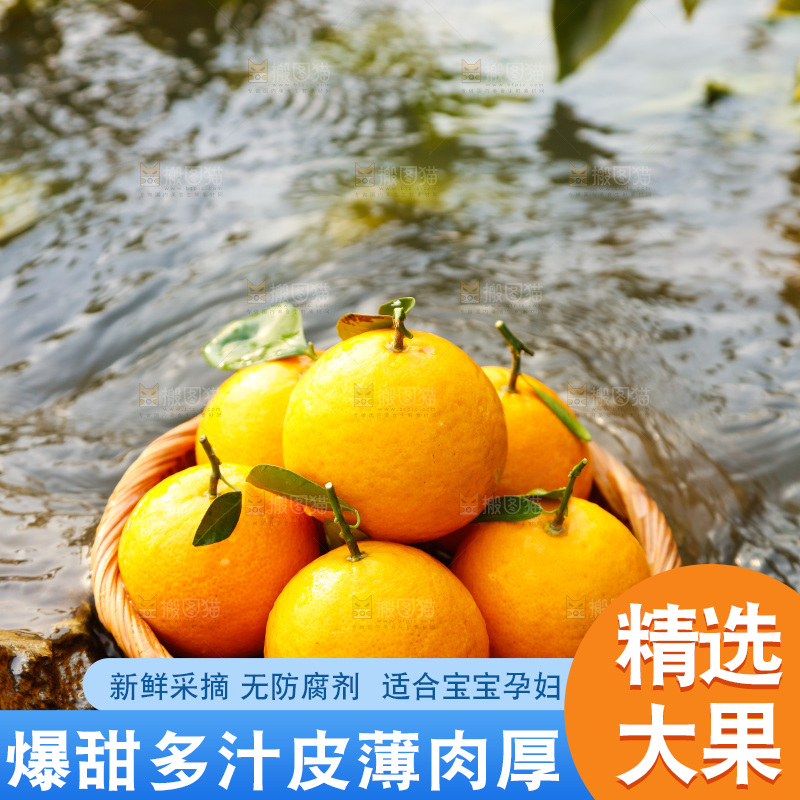 一篮新鲜皇帝柑